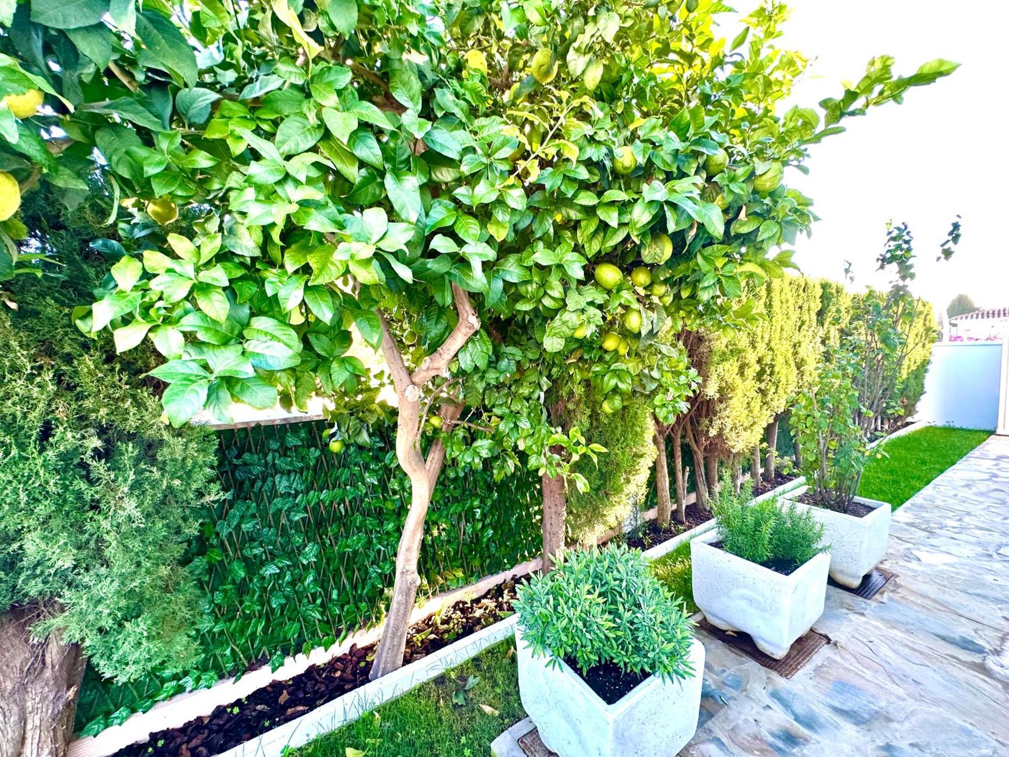 Villa Casacara Marbella Beachside Costabella -Spain Luaran gambar